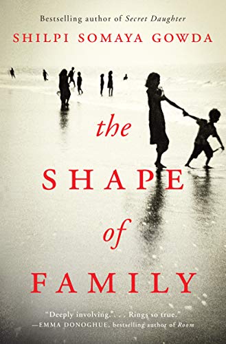9780062933225: The Shape of Family: A Novel