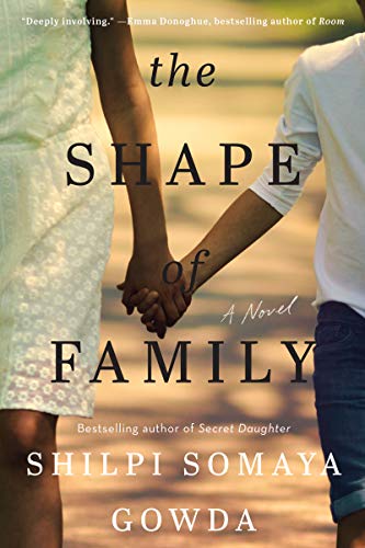 Beispielbild fr The Shape of Family: A Novel zum Verkauf von Red's Corner LLC