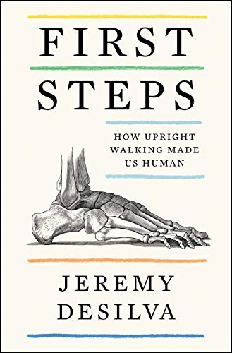 Beispielbild fr First Steps : How Upright Walking Made Us Human zum Verkauf von Better World Books