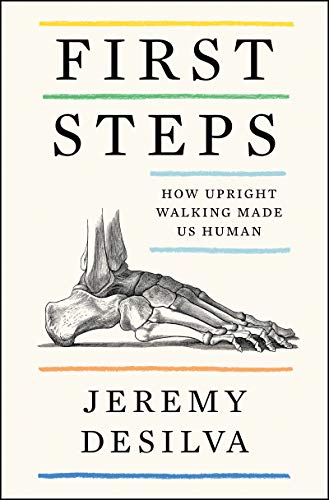 9780062938497: First Steps: How Upright Walking Made Us Human