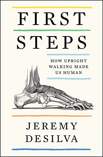 Beispielbild fr First Steps : How Upright Walking Made Us Human zum Verkauf von Better World Books