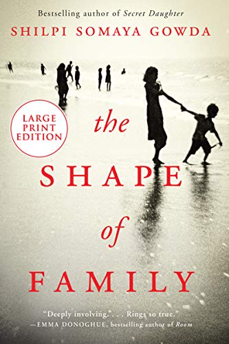 Beispielbild fr The Shape of Family : A Novel zum Verkauf von Better World Books