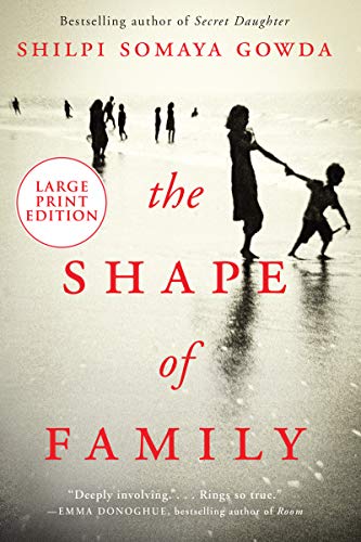 Stock image for The Shape of Family : A Novel for sale by Better World Books