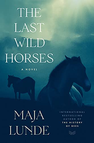 Stock image for The Last Wild Horses: A Novel for sale by Goodwill Books