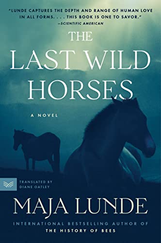 Imagen de archivo de The Last Wild Horses: A Novel a la venta por BooksRun