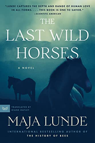 Stock image for The Last Wild Horses: A Novel for sale by BooksRun