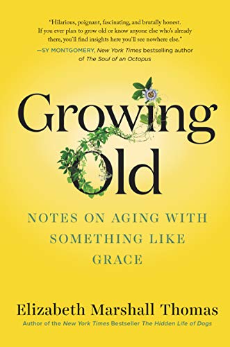 Beispielbild fr Growing Old: Notes on Aging with Something like Grace zum Verkauf von BooksRun