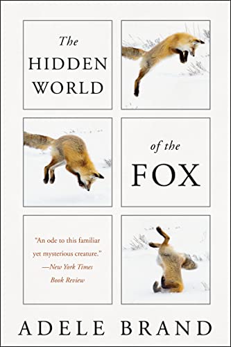 Stock image for The Hidden World of the Fox for sale by Half Price Books Inc.