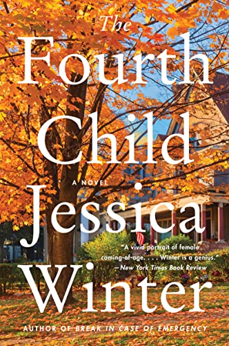 Stock image for The Fourth Child: A Novel for sale by SecondSale