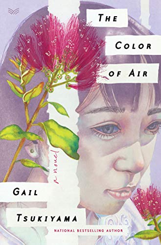 Imagen de archivo de The Color of Air a la venta por ThriftBooks-Atlanta