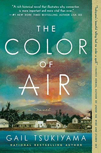 Stock image for The Color of Air: A Novel for sale by Goodwill