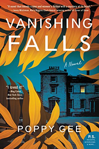Stock image for Vanishing Falls: A Novel for sale by SecondSale