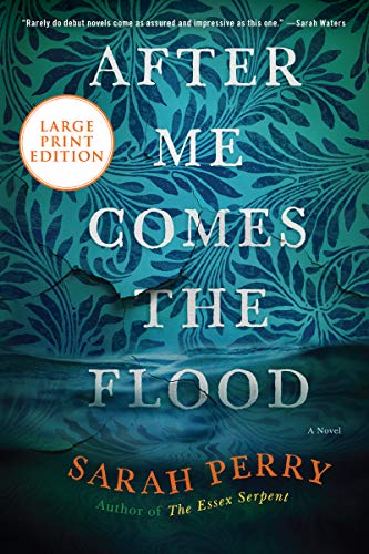 Stock image for After Me Comes the Flood: A Novel for sale by The Maryland Book Bank