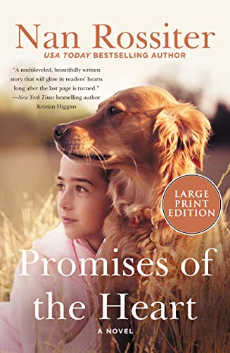 Stock image for Promises of the Heart: A Novel (Savannah Skies) for sale by Discover Books