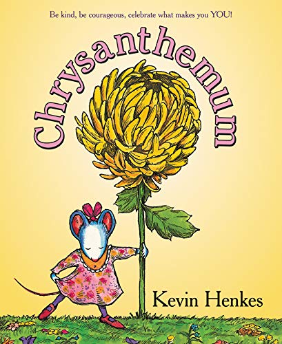 

Chrysanthemum