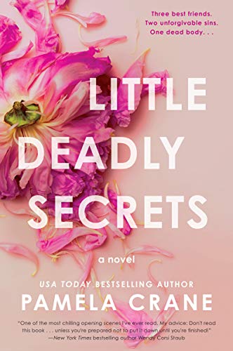 Beispielbild fr Little Deadly Secrets : A Novel zum Verkauf von Better World Books