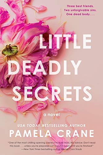 Stock image for Little Deadly Secrets : A Novel for sale by Better World Books