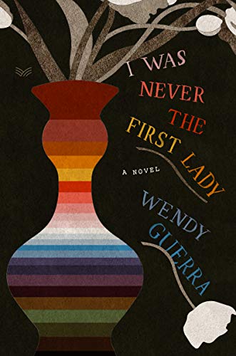 9780062990747: I Was Never the First Lady: A Novel