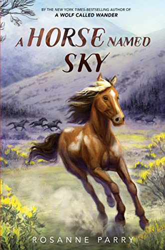 Stock image for A Horse Named Sky (A Voice of the Wilderness Novel) for sale by Half Price Books Inc.