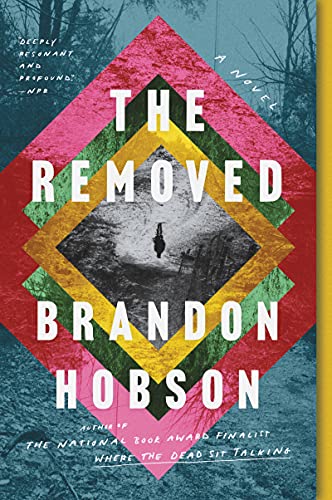Beispielbild fr The Removed: A Novel zum Verkauf von Jenson Books Inc
