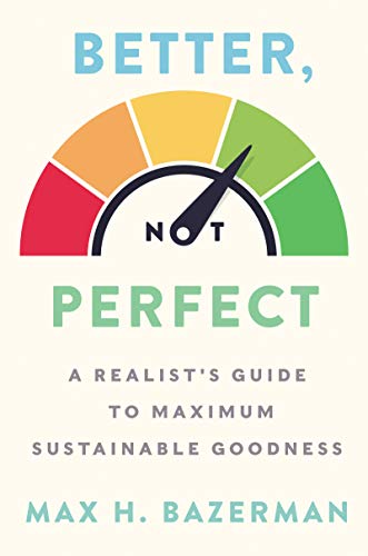 Imagen de archivo de Better, Not Perfect : A Realist's Guide to Maximum Sustainable Goodness a la venta por Better World Books