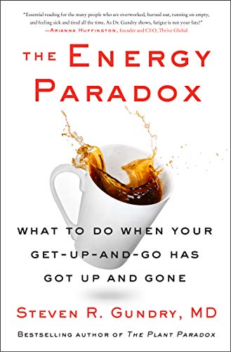 Stock image for The Energy Paradox : What to Do When Your Get-Up-and-Go Has Got up and Gone for sale by Better World Books
