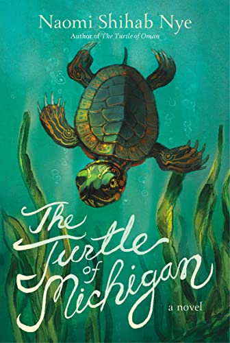 9780063014169: The Turtle of Michigan: A Novel