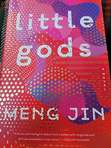 9780063022928: Little Gods: A Novel