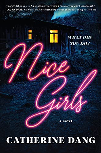 Stock image for Nice Girls: A Novel for sale by Your Online Bookstore