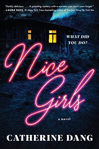 Stock image for Nice Girls: A Novel for sale by Housing Works Online Bookstore