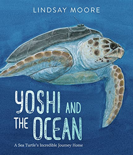 Stock image for Yoshi and the Ocean for sale by Blackwell's
