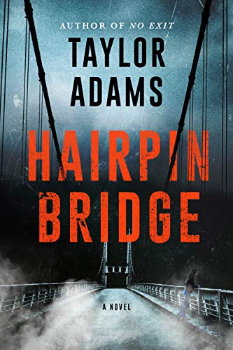 Imagen de archivo de Hairpin Bridge: A Novel a la venta por Zoom Books Company