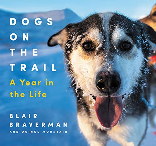 Stock image for Dogs on the Trail: A Year in the Life for sale by Dream Books Co.