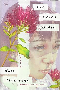 Imagen de archivo de The Color of Air [SIGNED] a la venta por Goodwill Books