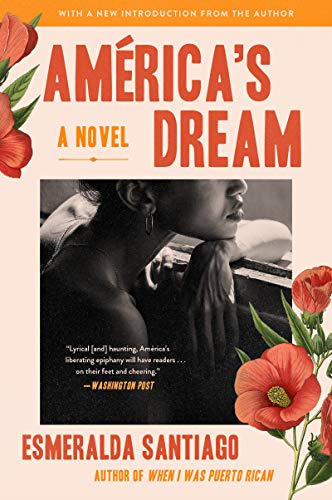 Beispielbild fr America's Dream: A Novel zum Verkauf von BooksRun