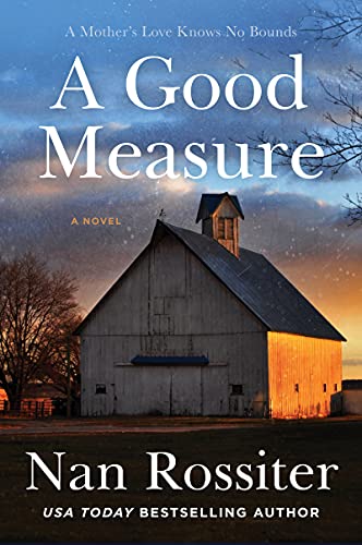 Stock image for A Good Measure: A Novel (Savannah Skies, 3) for sale by Open Books