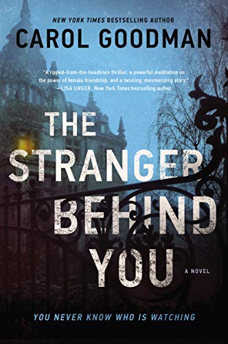 Imagen de archivo de The Stranger Behind You: A Novel a la venta por Dream Books Co.