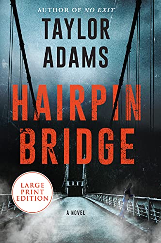 Beispielbild fr Hairpin Bridge : A Novel zum Verkauf von Better World Books