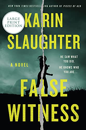 Stock image for False Witness: A Novel for sale by Red's Corner LLC