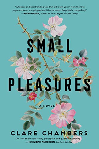 Beispielbild fr Small Pleasures: A Novel zum Verkauf von Goodwill Books