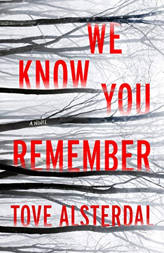 Beispielbild fr We Know You Remember: A Novel (The High Coast Series, 1) zum Verkauf von More Than Words