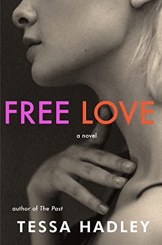 Beispielbild fr Free Love: A Novel zum Verkauf von SecondSale