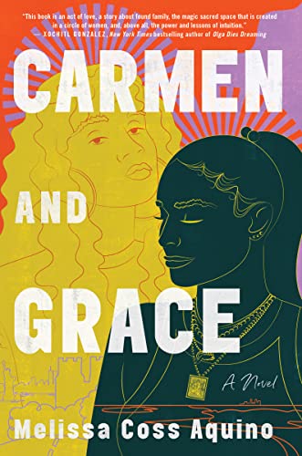 Stock image for Carmen and Grace: A Novel for sale by ZBK Books