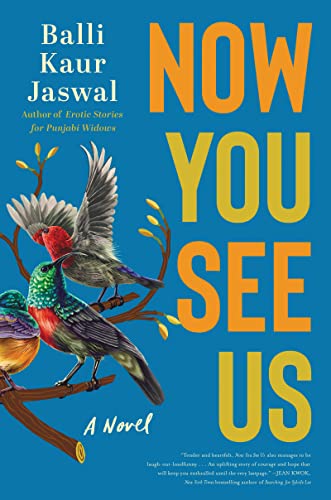 9780063161603: Now You See Us: A Novel