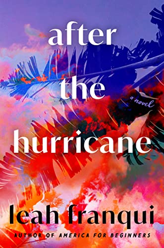 Beispielbild fr After the Hurricane: A Novel zum Verkauf von BooksRun