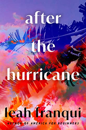 Stock image for After the Hurricane: A Novel for sale by BooksRun