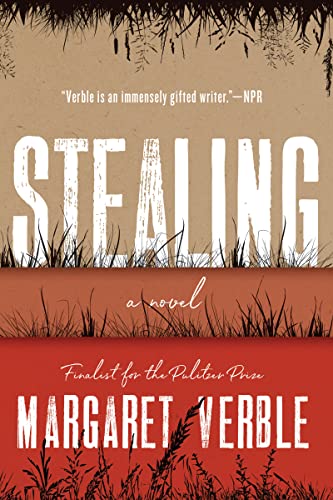 Beispielbild fr Stealing : A Novel zum Verkauf von Better World Books