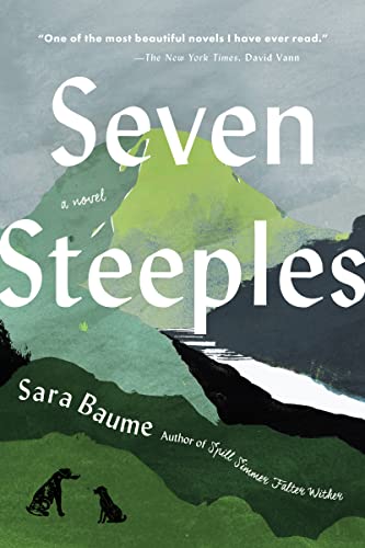 Imagen de archivo de Seven Steeples: A Novel a la venta por BooksRun