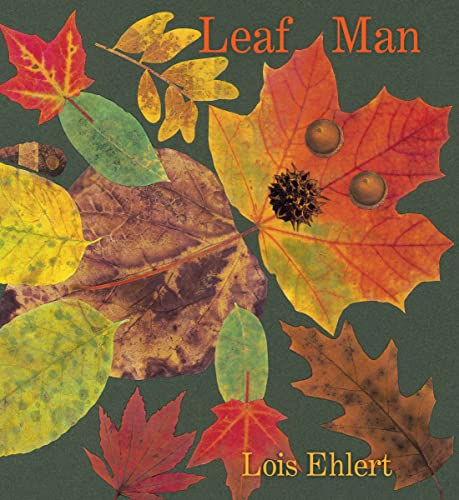 Stock image for Leaf Man Board Book for sale by Ami Ventures Inc Books