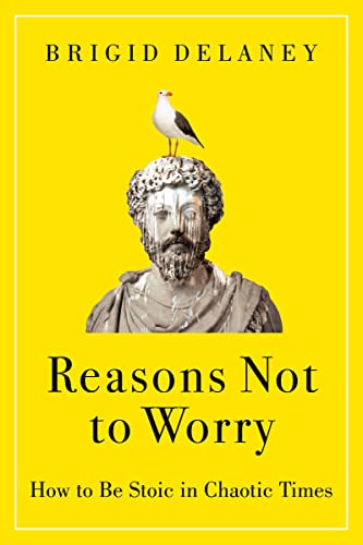 Stock image for Reasons Not to Worry: How to Be Stoic in Chaotic Times for sale by Book Deals